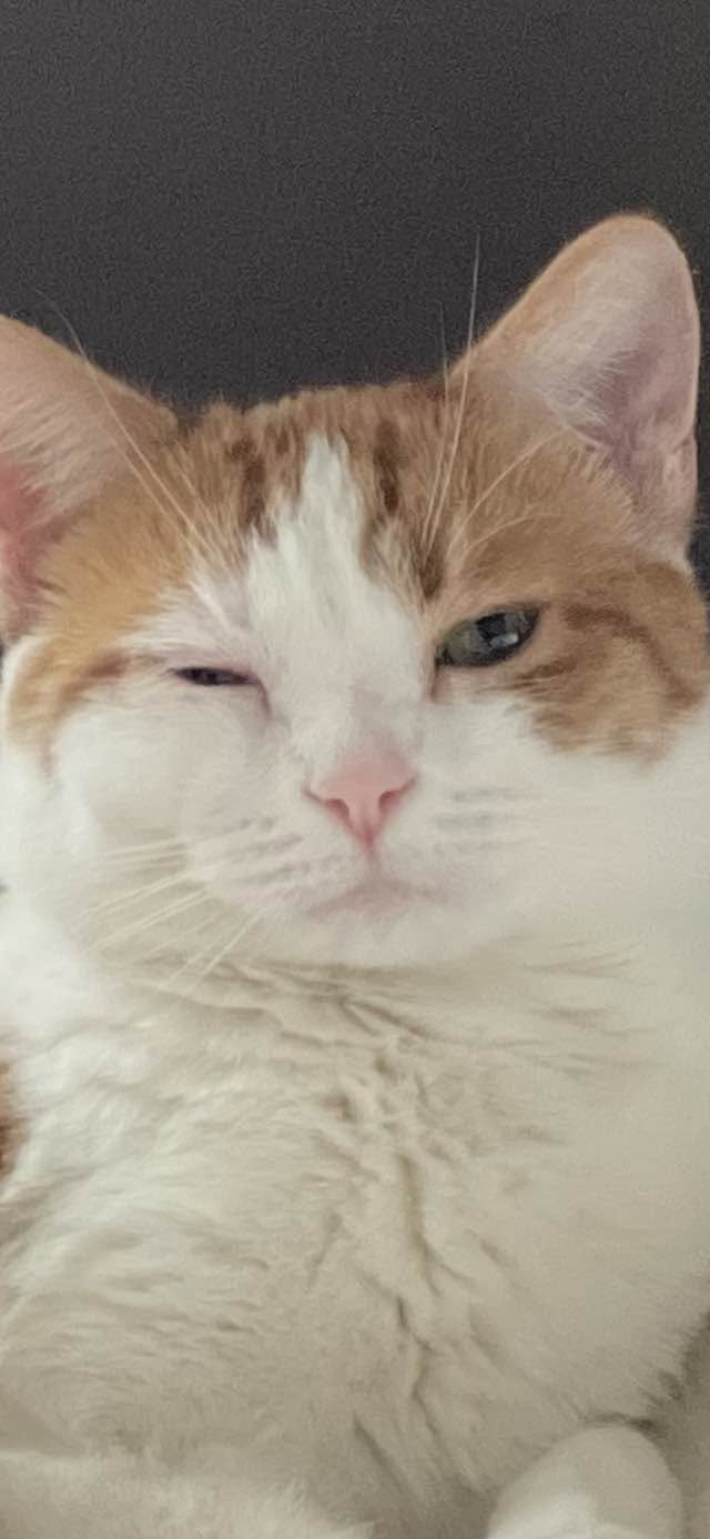 Mellow copying Michael by sitting with one eye closed